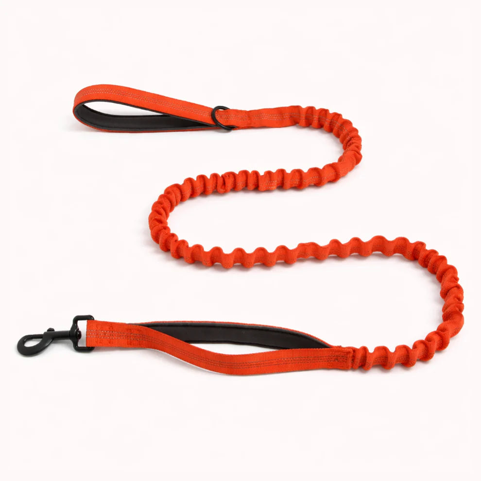 Hale&Hound Bungee Dog Lead