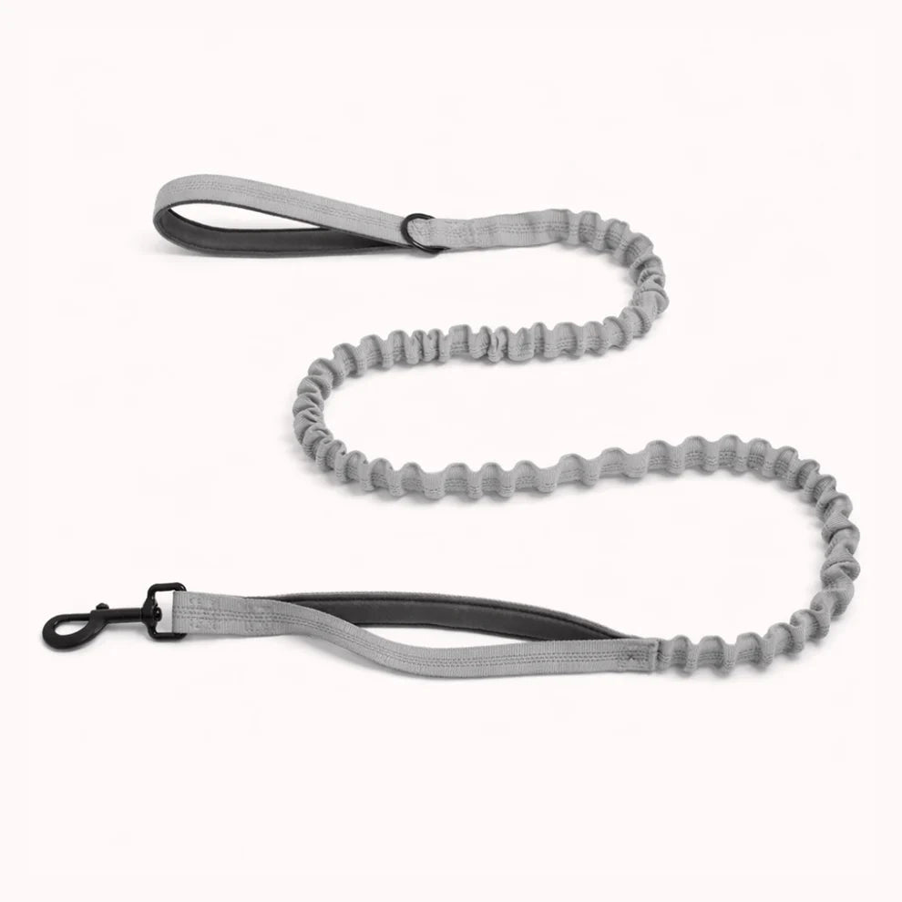 Hale&Hound Bungee Dog Lead