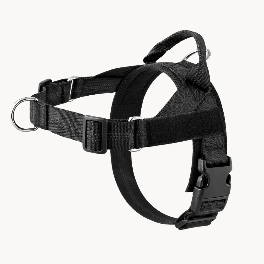 Hale&Hound No Pull Dog Harness