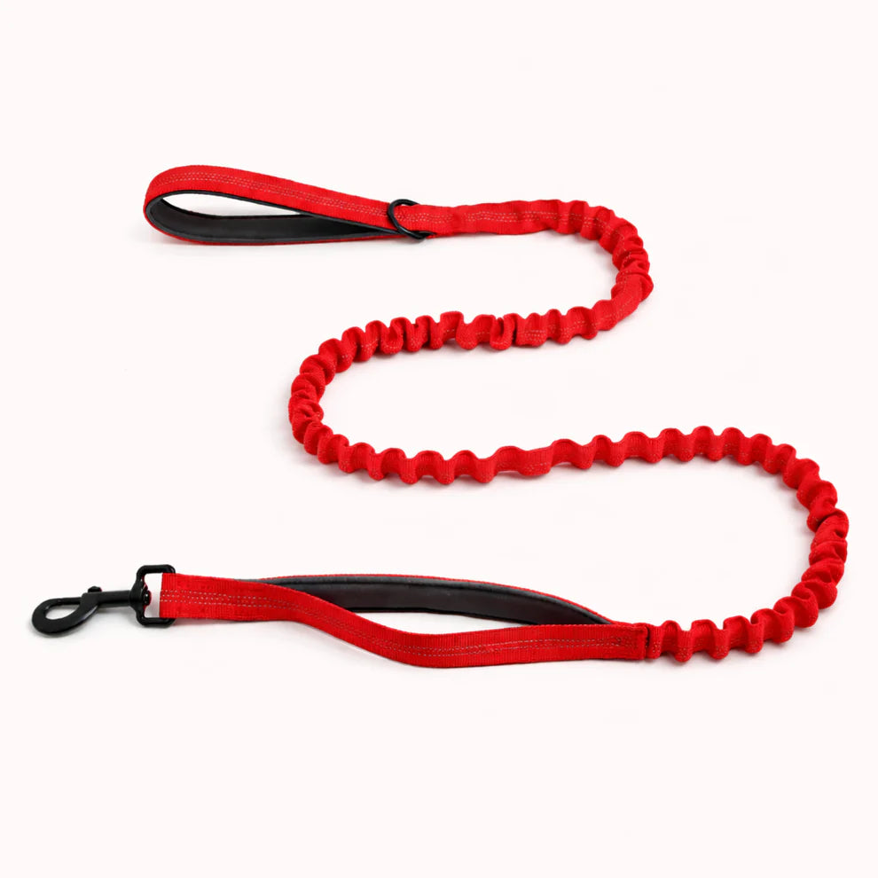 Hale&Hound Bungee Dog Lead