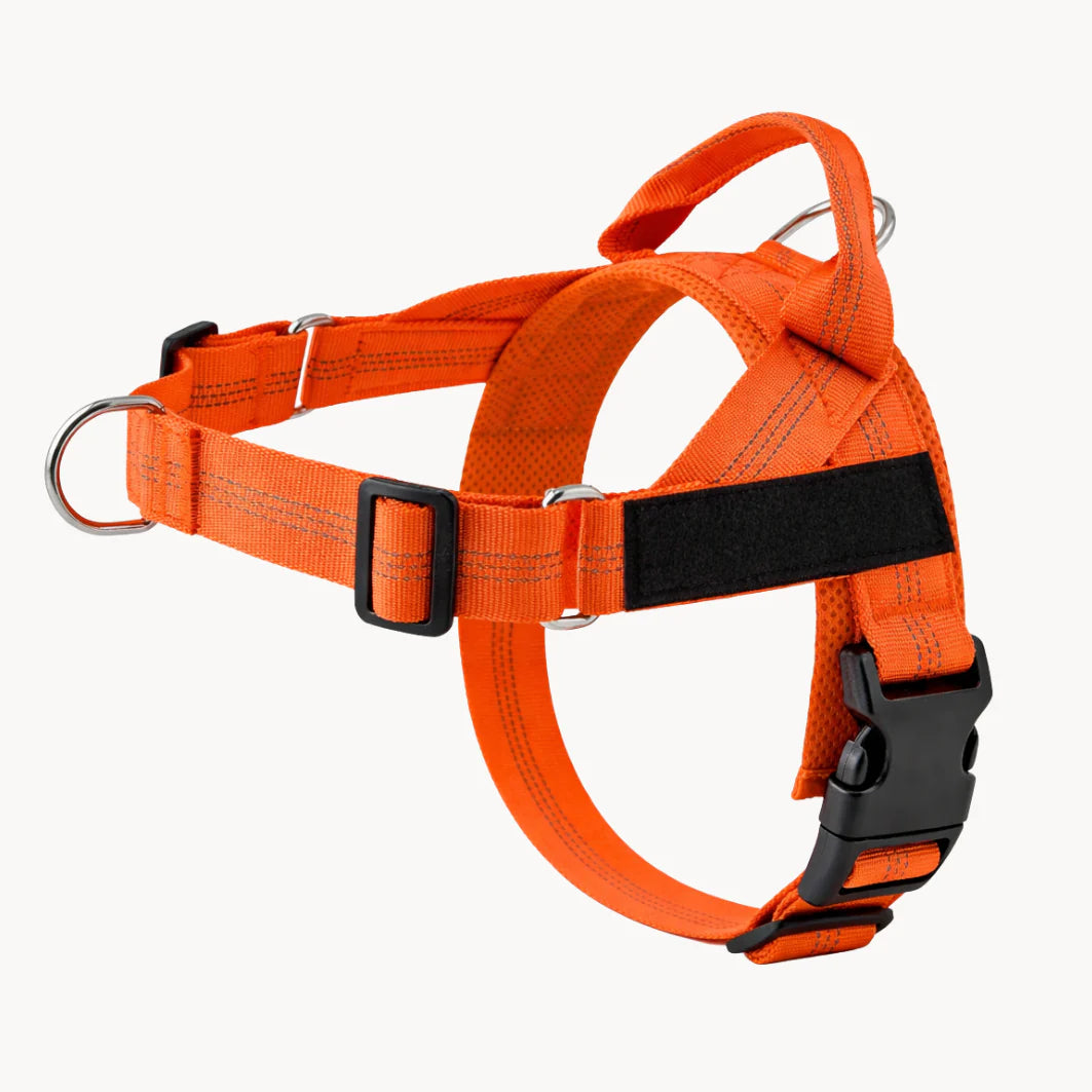 Hale&Hound No Pull Dog Harness