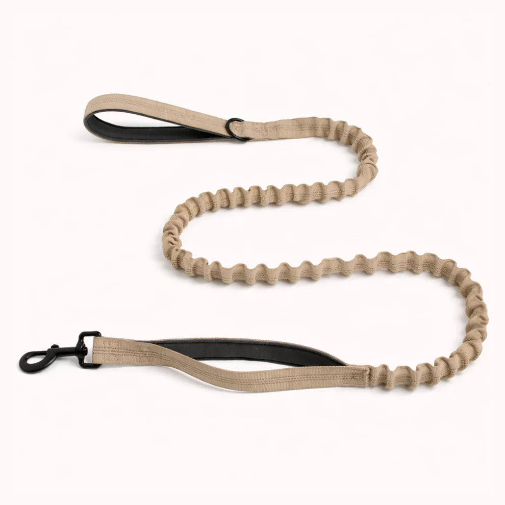 Hale&Hound Bungee Dog Lead