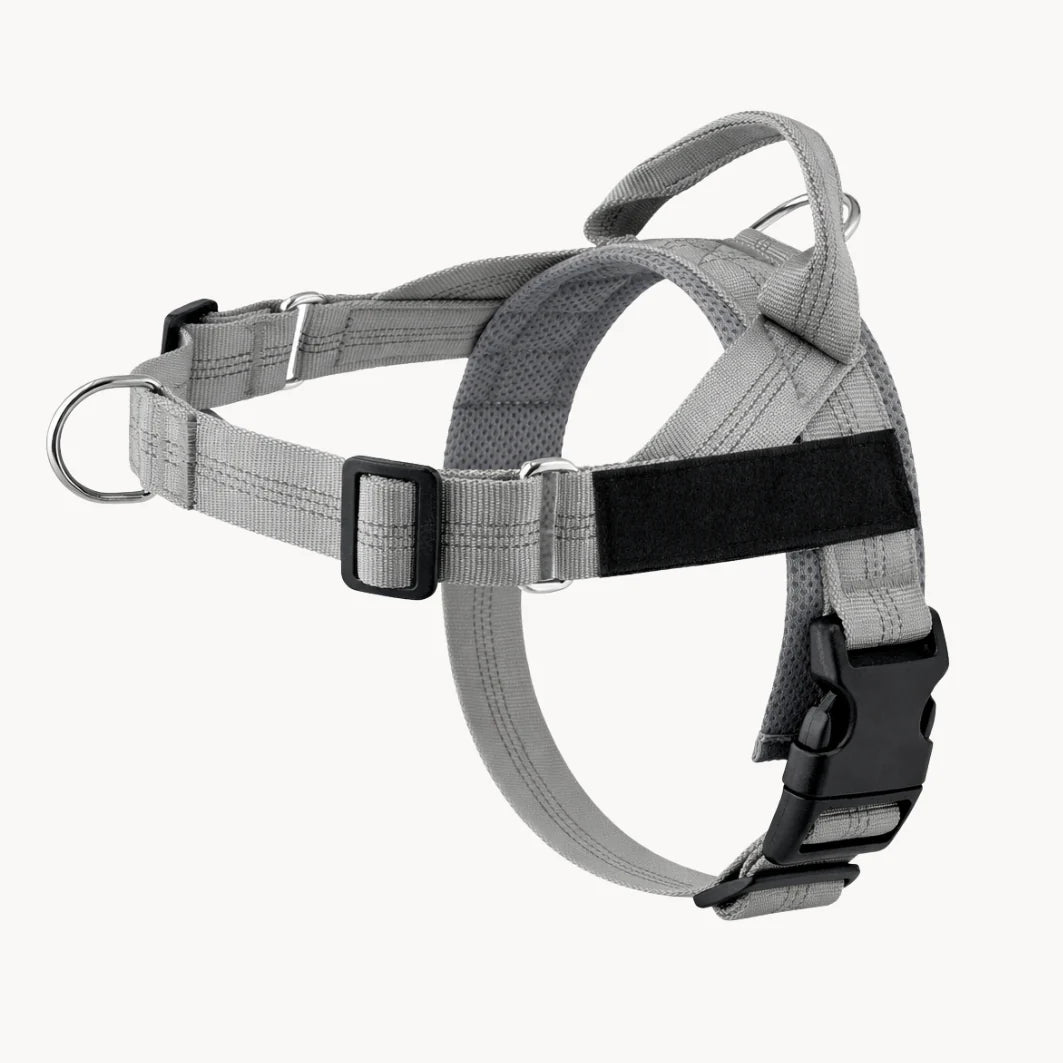 Hale&Hound No Pull Dog Harness