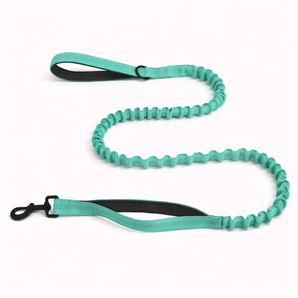 Hale&Hound Bungee Dog Lead