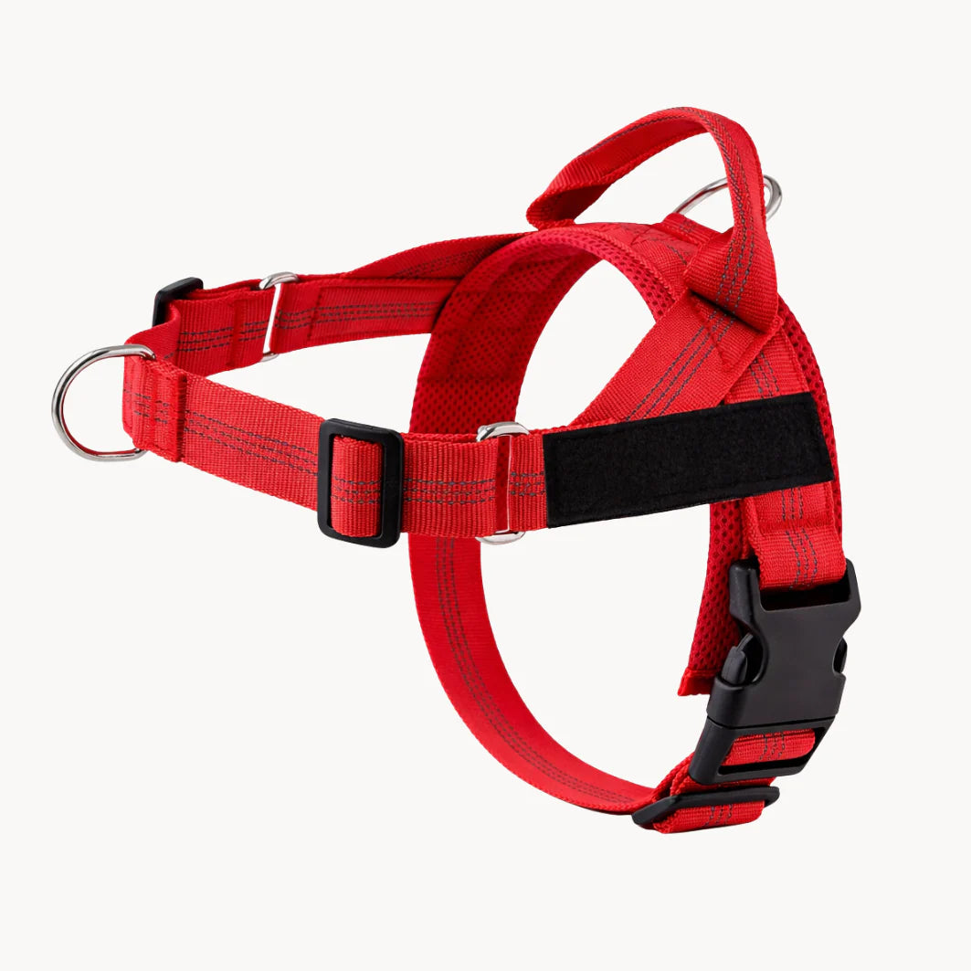 Hale&Hound No Pull Dog Harness