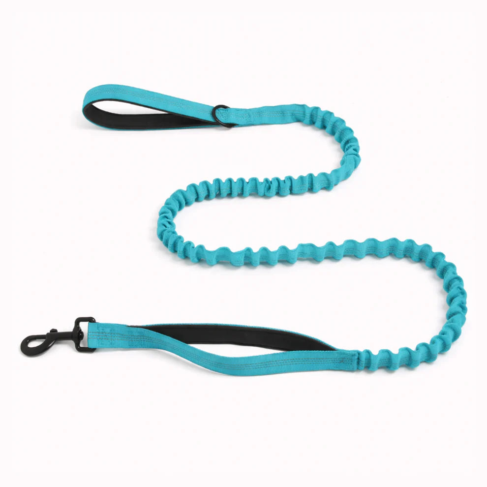 Hale&Hound Bungee Dog Lead