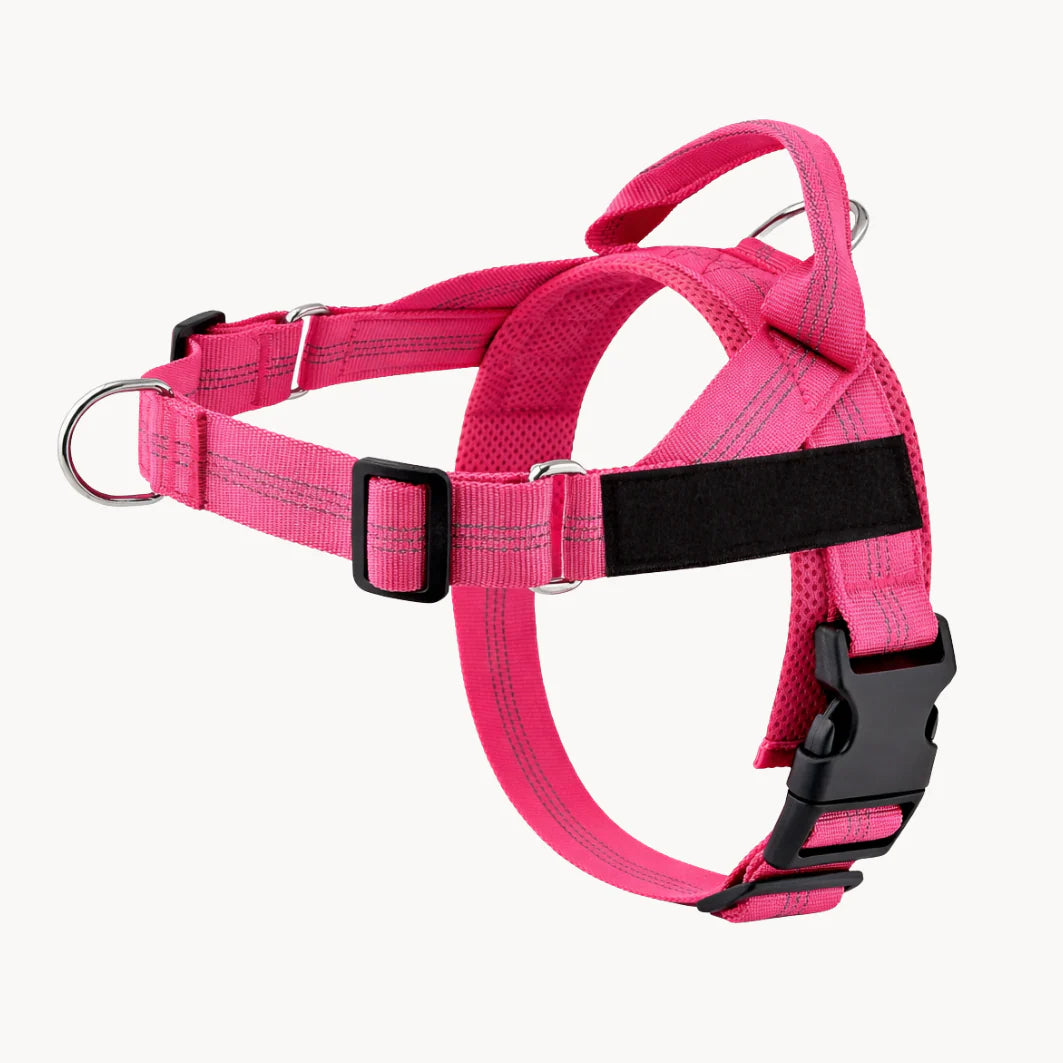 Hale&Hound No Pull Dog Harness