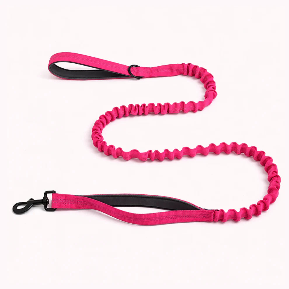 Hale&Hound Bungee Dog Lead