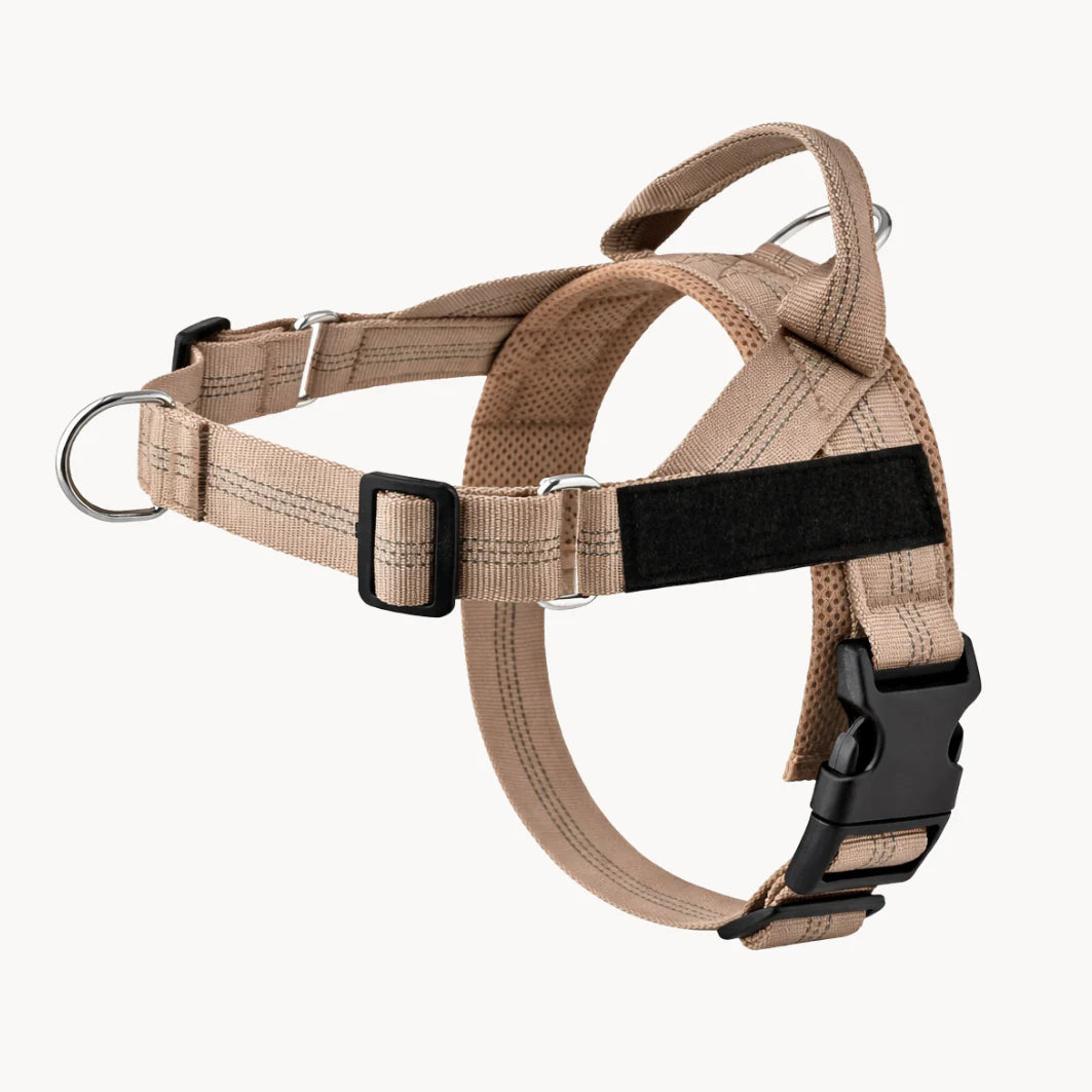 Hale&Hound No Pull Dog Harness