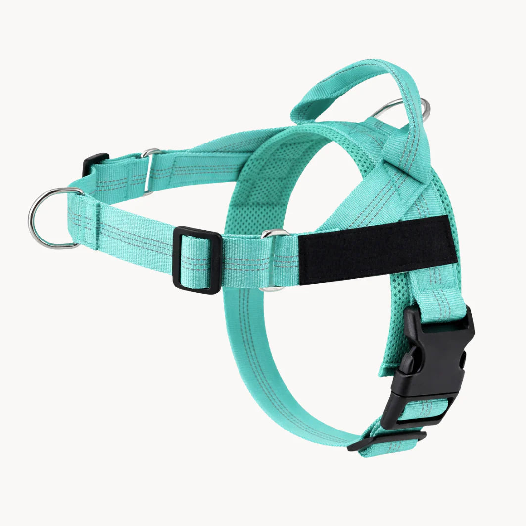 Hale&Hound No Pull Dog Harness
