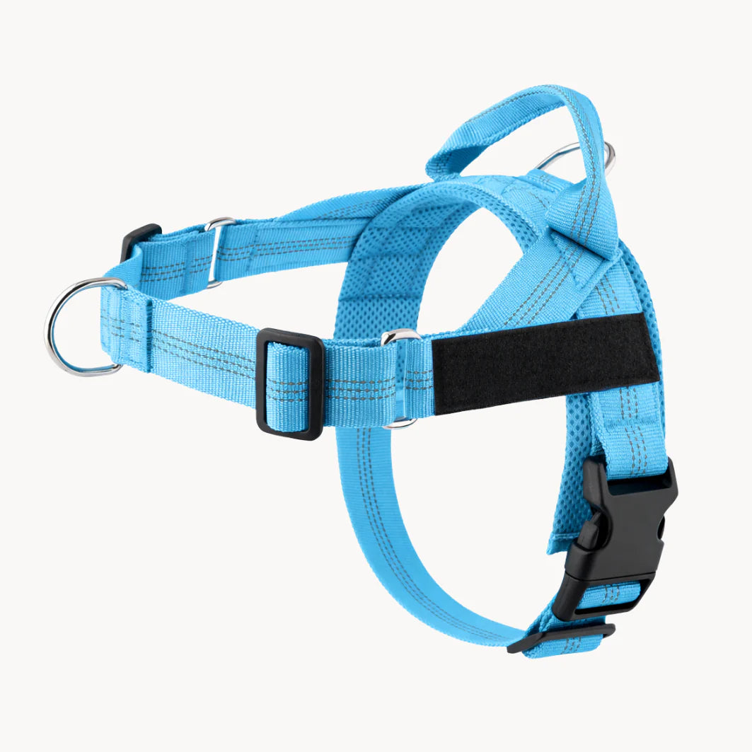 Hale&Hound No Pull Dog Harness