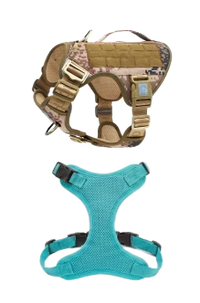 Standard harness
