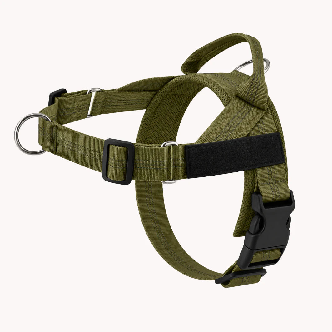 Hale&Hound No Pull Dog Harness
