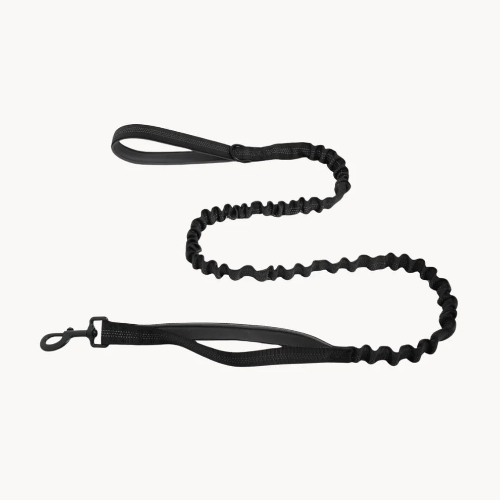 Hale&Hound Bungee Dog Lead