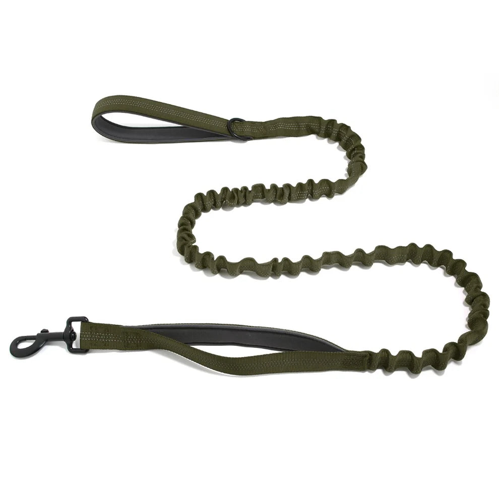 Hale&Hound Bungee Dog Lead