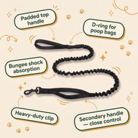 Hale&Hound Bungee Dog Lead