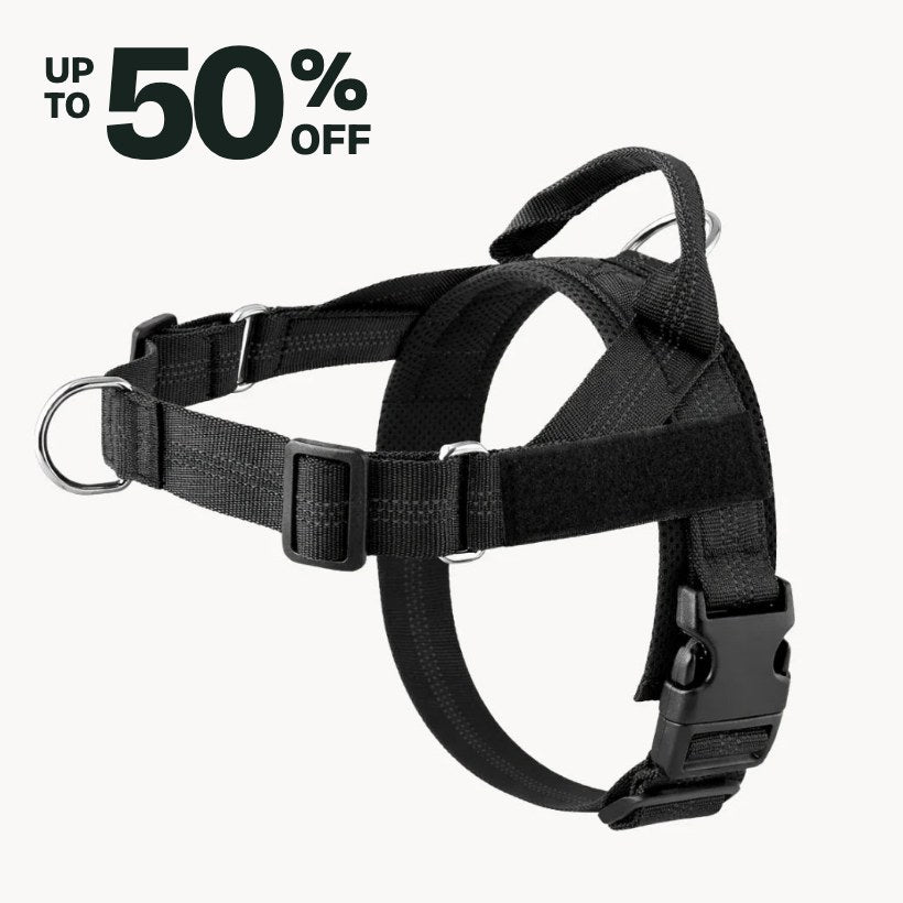 The hale&hound No Pull Dog Harness in black, Up to 50% off