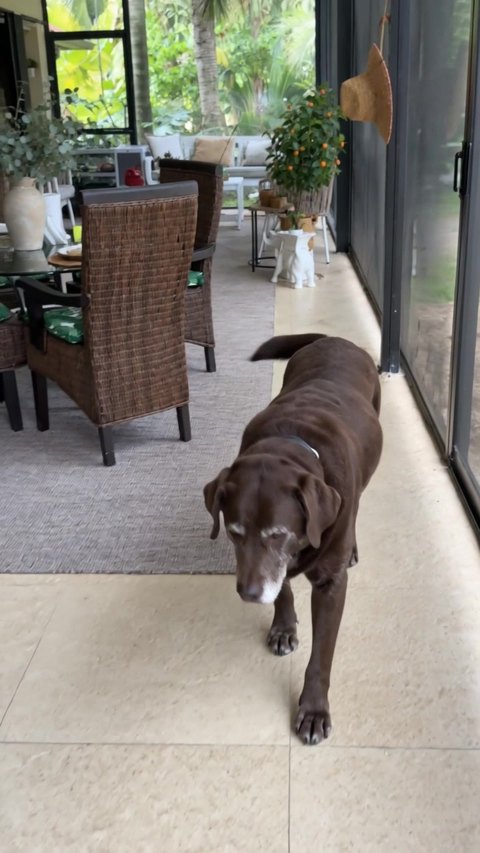 Charlie, after