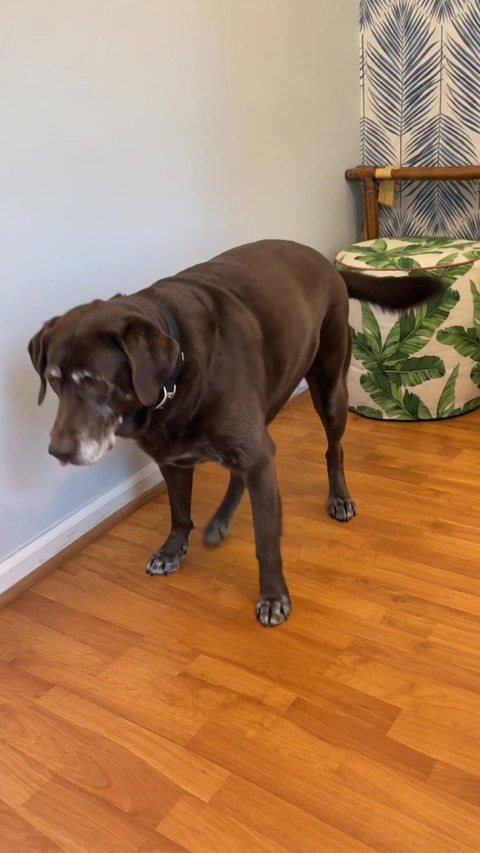 Charlie, before