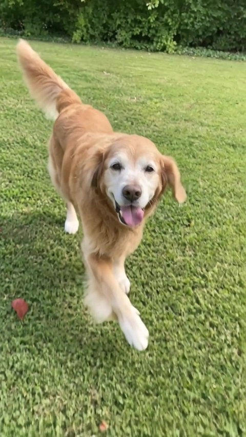 Gus, after