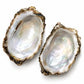 Two opened oyster shells