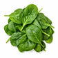 A pile of fresh spinach leaves