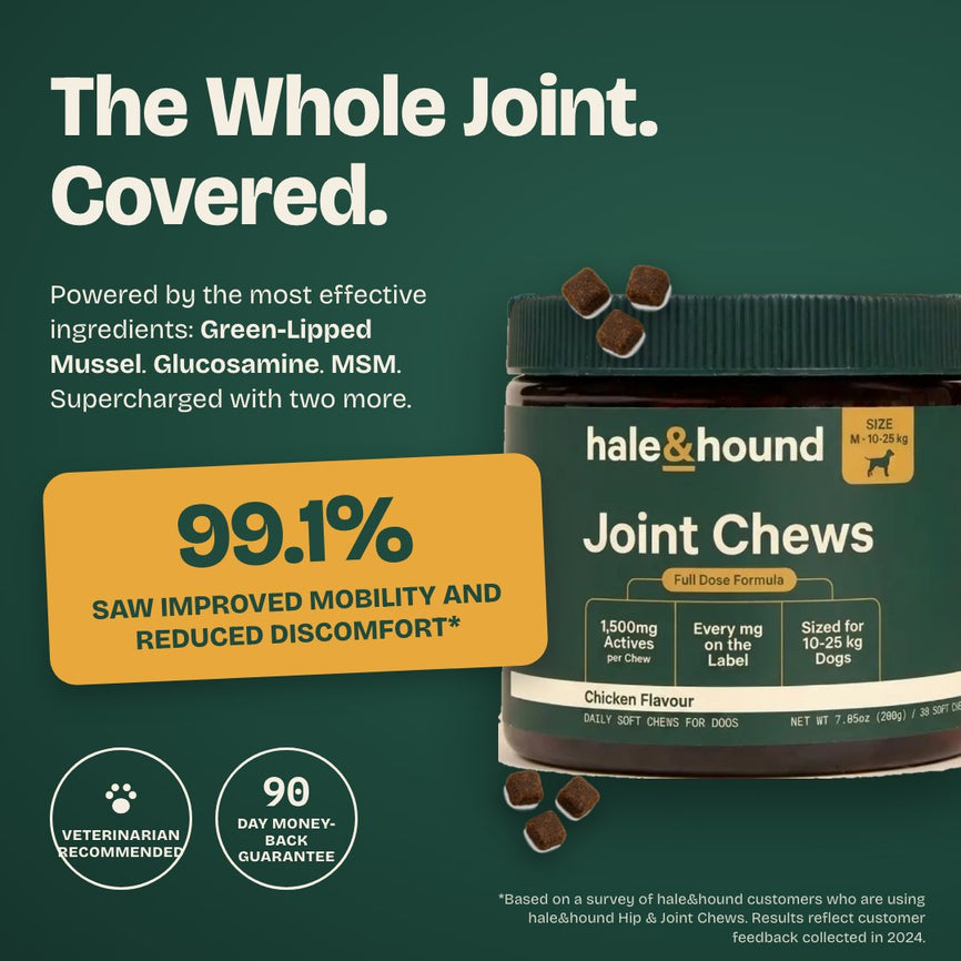 The whole joint, covered. Powered by the most effective ingredients: green-lipped mussel, glucosamine and MSM, supercharged with two more. 99.1% saw improved mobility and reduced discomfort. Veterinarian recommended, 90-day money-back guarantee.