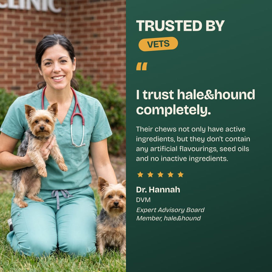 Trusted by vets: I trust hale&hound completely. Dr. Hannah, DVM, Expert Advisory Board Member at hale&hound.