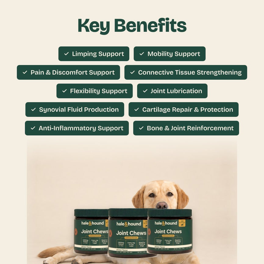 Key benefits: limping support, mobility support, pain and discomfort support, connective tissue strengthening, flexibility support, joint lubrication, synovial fluid production, cartilage repair and protection, anti-inflammatory support, and bone and joint reinforcement.