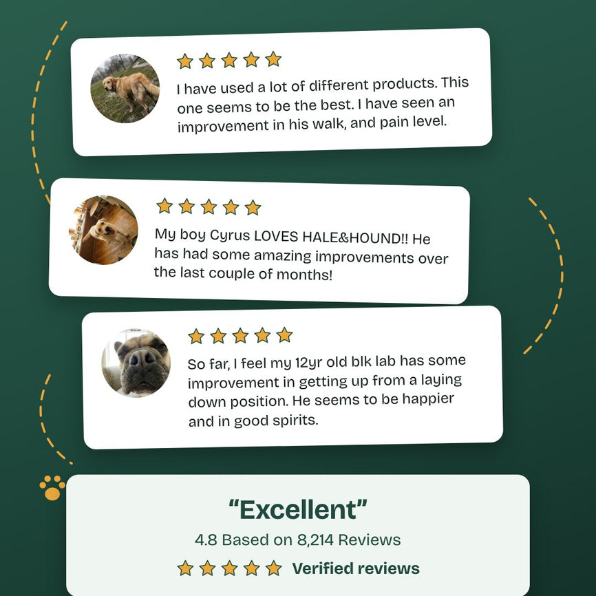 Three five-star customer reviews beside a summary rated Excellent, 4.8 based on 8,214 reviews.