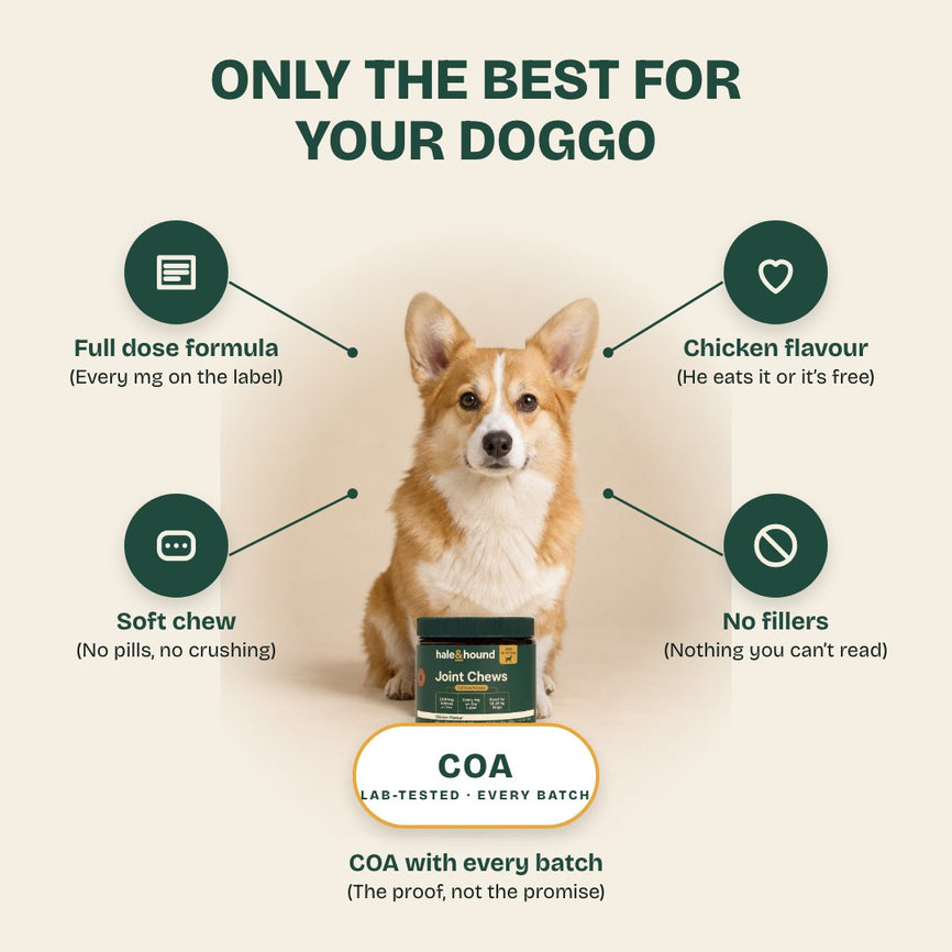 Only the best for your doggo: full dose formula, chicken flavour, soft chew, no fillers, COA with every batch.